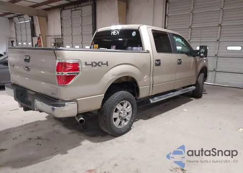 2010 Ford F-150 Fx4/Harley-Davidson/King Ranch/Lariat/Platinum/Xl/Xlt z USA, uszkodzony, nr VIN 1FTFW1EV1AFD01295